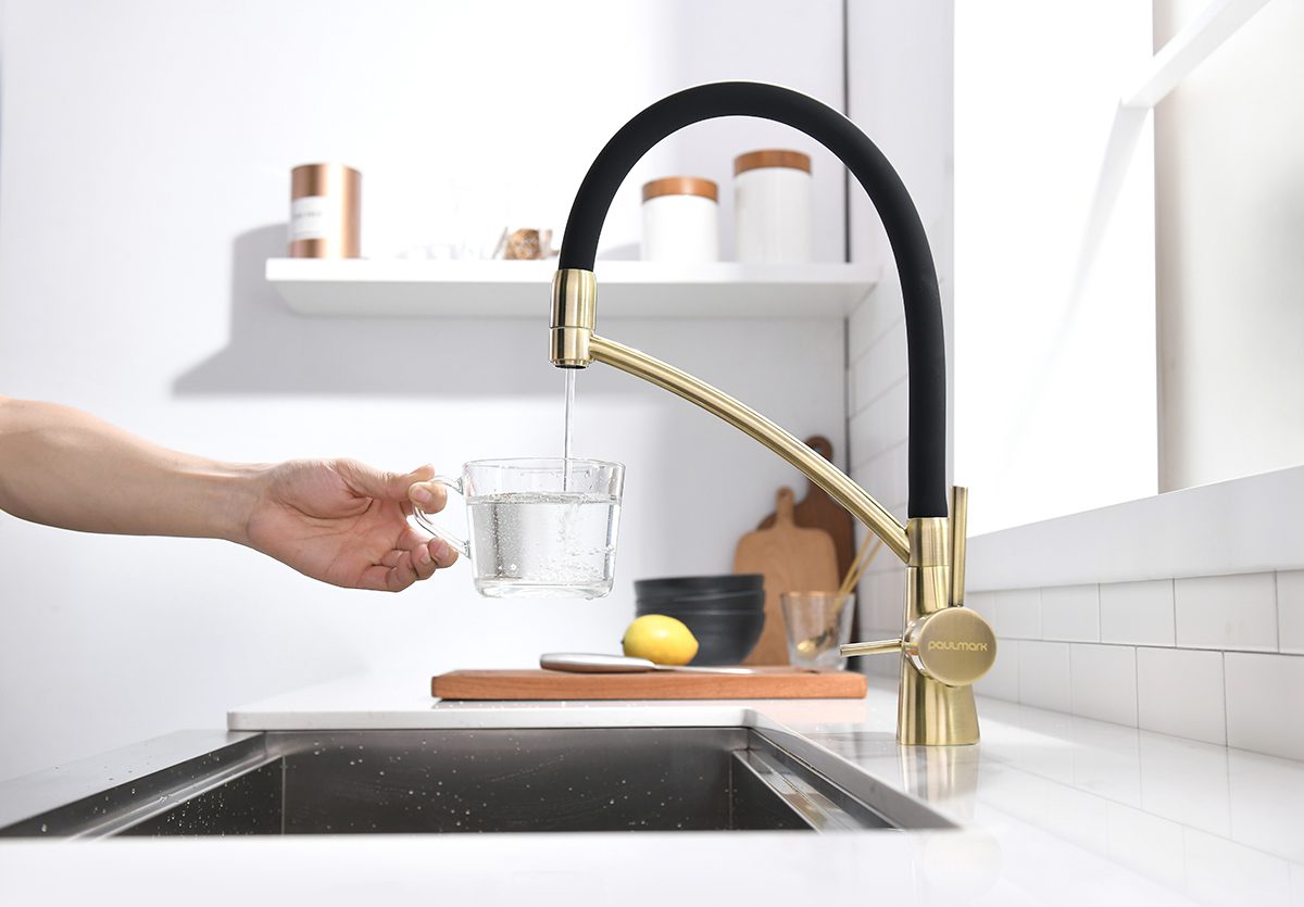 Смеситель для кухни под фильтр PAULMARK SIEGEN, бронза, Si213111-BR — изображение 5
