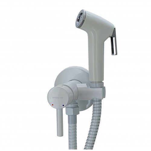 Смеситель для биде скрытого монтажа Wisent WG5398W-2, белый