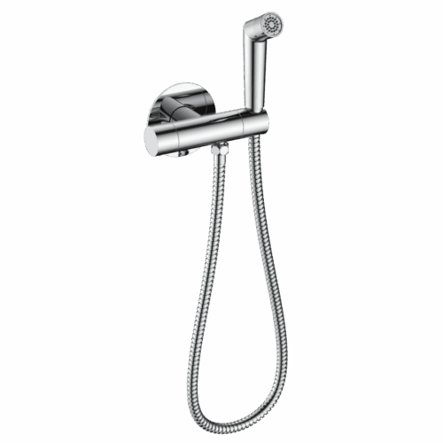 Смеситель скрытого монтажа для гигиенического душа с термостатом Raglo R23.56