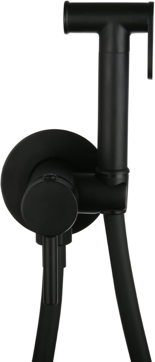 Смеситель скрытого монтажа для гигиенического душа Roxen Santi 50094000-B — изображение 2