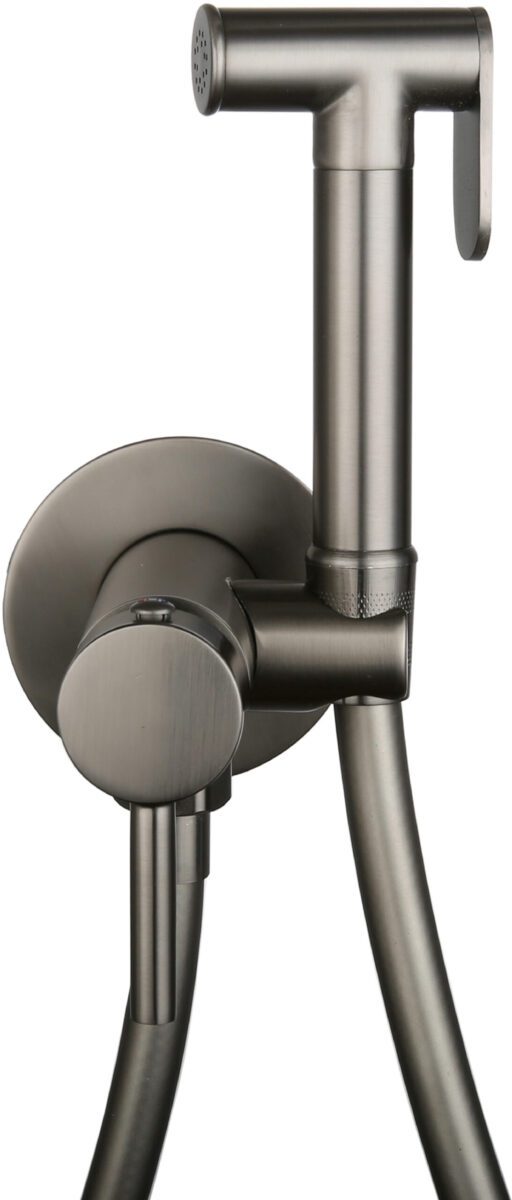 Смеситель скрытого монтажа для гигиенического душа Roxen Santi 50094000-GM — изображение 2