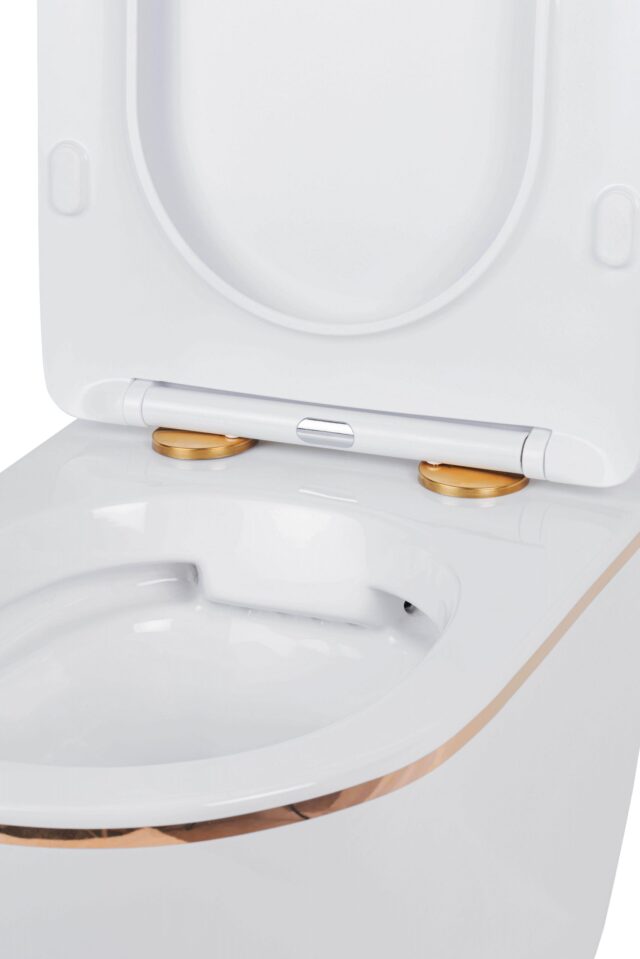 Унитаз подвесной Roxen Antares Gold, 530110-01G — изображение 8