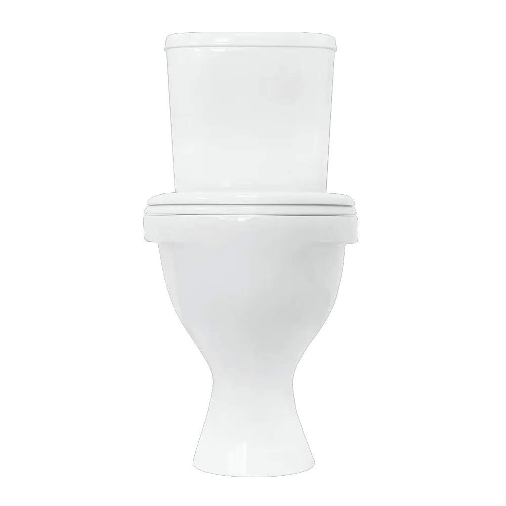Унитаз напольный Sanita Формат стандарт, WC.CC/Format/1-P/WHT.G/S1 — изображение 3