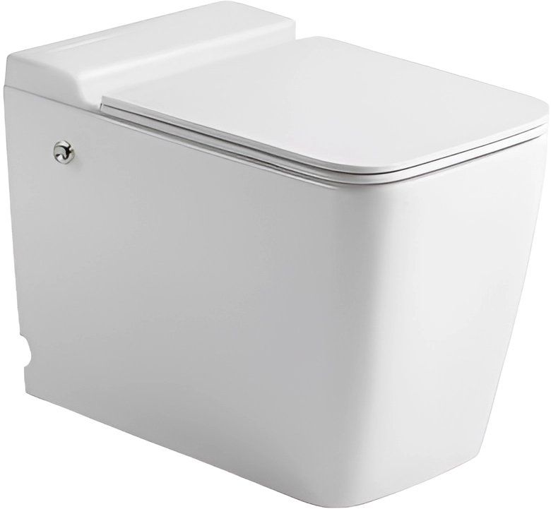 Унитаз напольный импульсный CeruttiSPA Maiella Pulse, CT10196