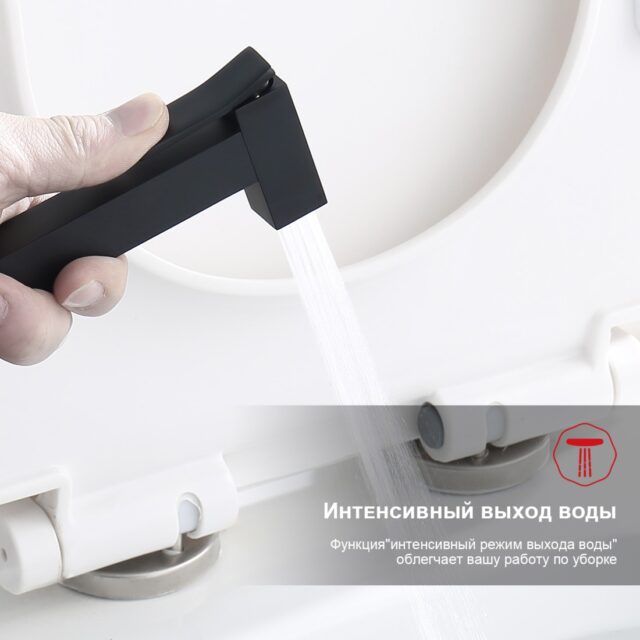 Смеситель скрытого монтажа для гигиенического душа Raglo R01.53.06, чёрный — изображение 3