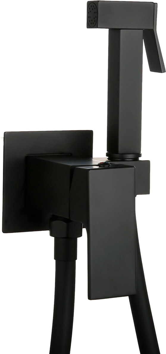 Смеситель скрытого монтажа для гигиенического душа Roxen Caspia 50096000-B