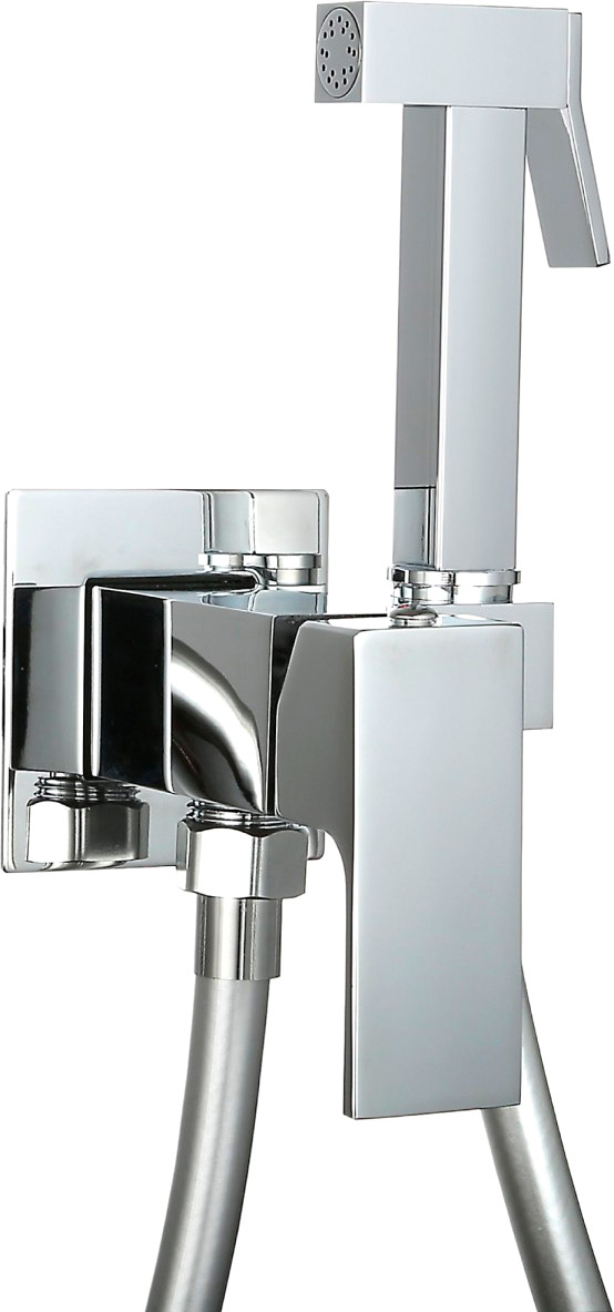 Смеситель скрытого монтажа для гигиенического душа Roxen Caspia 50096000-CH