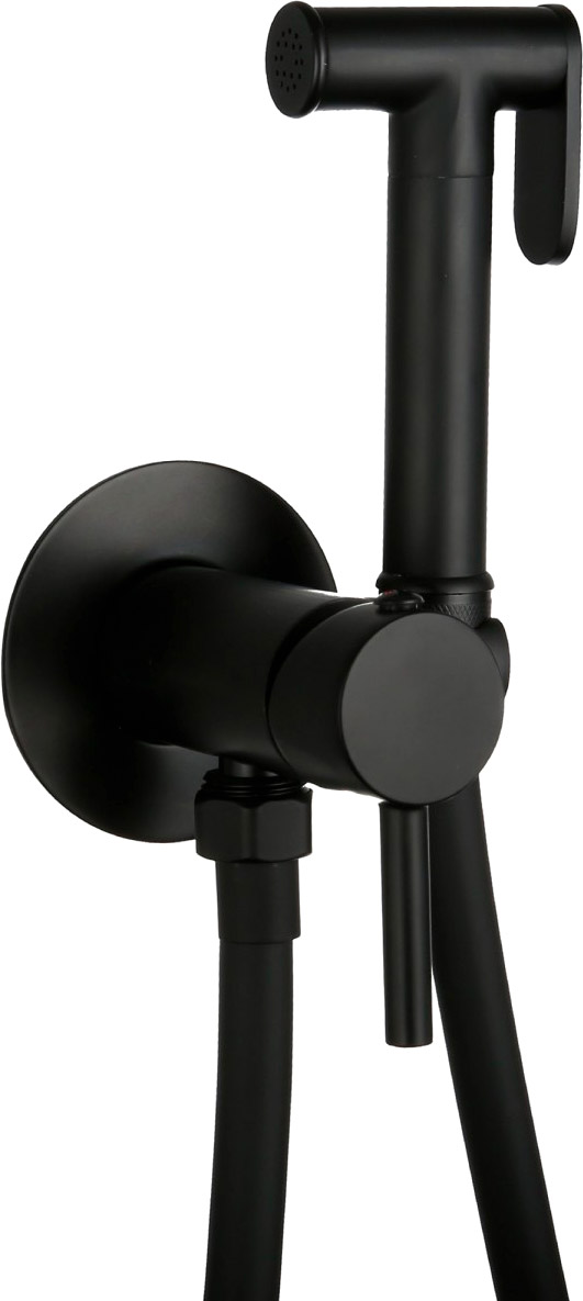 Смеситель скрытого монтажа для гигиенического душа Roxen Santi 50094000-B