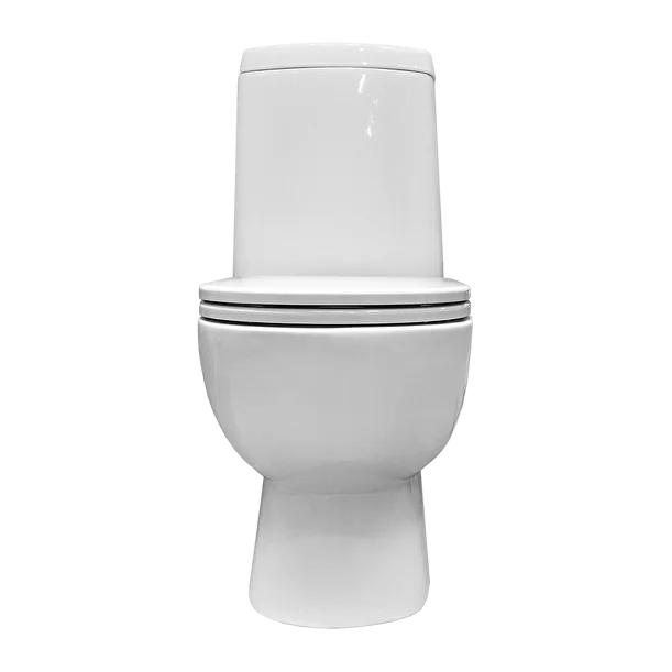 Унитаз напольный Sanita Luxe Fest Comfort, WC.CC/Fest/2-DM/WHT.G/S1 — изображение 3