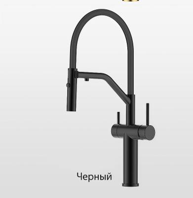 Смеситель для кухни под фильтр с гибким изливом Gappo G4399-86